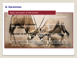 B. Darwinism
• Individuals in a population have differences among them.
• Struggle for existence: There is competition between
new-born individuals for space and food.
• Survival of the fittest: individuals whose variations help
their survival in a certain environment are favoured.
• The surviving individuals produce the next generation, so
that the more favourable variations are transmitted to the
offspring.
Basic principles of Darwinism
 