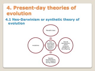 4. Present-day theories of
evolution
New
discoveries
have been
included in
Darwin’s
theory:
Mendel’s laws
Sexual
reproduction,
which
produces
variation in
the offspring
Genetic
recombination,
which happens
during meiosis
mutations
 