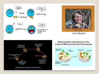 Lynn Margulis
 