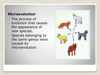 Microevolution
 The process of
evolution that causes
the appearance of
new species.
 Species belonging to
the same genus were
caused by
microevolution.
 