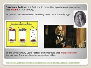 Francesco Redi was the first one to prove that spontaneous generation
was FALSE. (17th century) .
He proved that larvae found in rotting meat came from fly eggs.
http://www.phschool.com/atschool/phsciexp/active_art/redi_pasteur_experiment/
In the 19th century Louis Pasteur demonstrated that microorganisms
did not com from spontaneous generation either.
 
