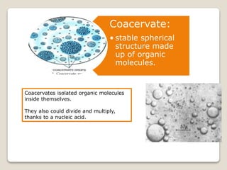 Coacervate:
• stable spherical
structure made
up of organic
molecules.
Coacervates isolated organic molecules
inside themselves.
They also could divide and multiply,
thanks to a nucleic acid.
 