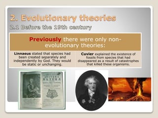 Previously there were only non-
evolutionary theories:
Linnaeus stated that species had
been created separately and
independently by God. They would
be static or unchanging.
Cuvier explained the existence of
fossils from species that had
disappeared as a result of catastrophes
that killed these organisms.
 