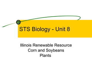 STS Biology - Unit 8 Illinois Renewable Resource Corn and Soybeans Plants  