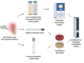 Unit 8 Sample collection for the diagnosis of bacterial infections | PPTX