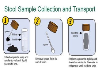 Unit 8 Sample collection for the diagnosis of bacterial infections | PPTX