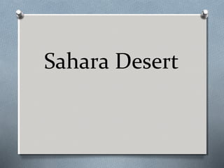 Sahara Desert

 