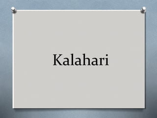 Kalahari

 
