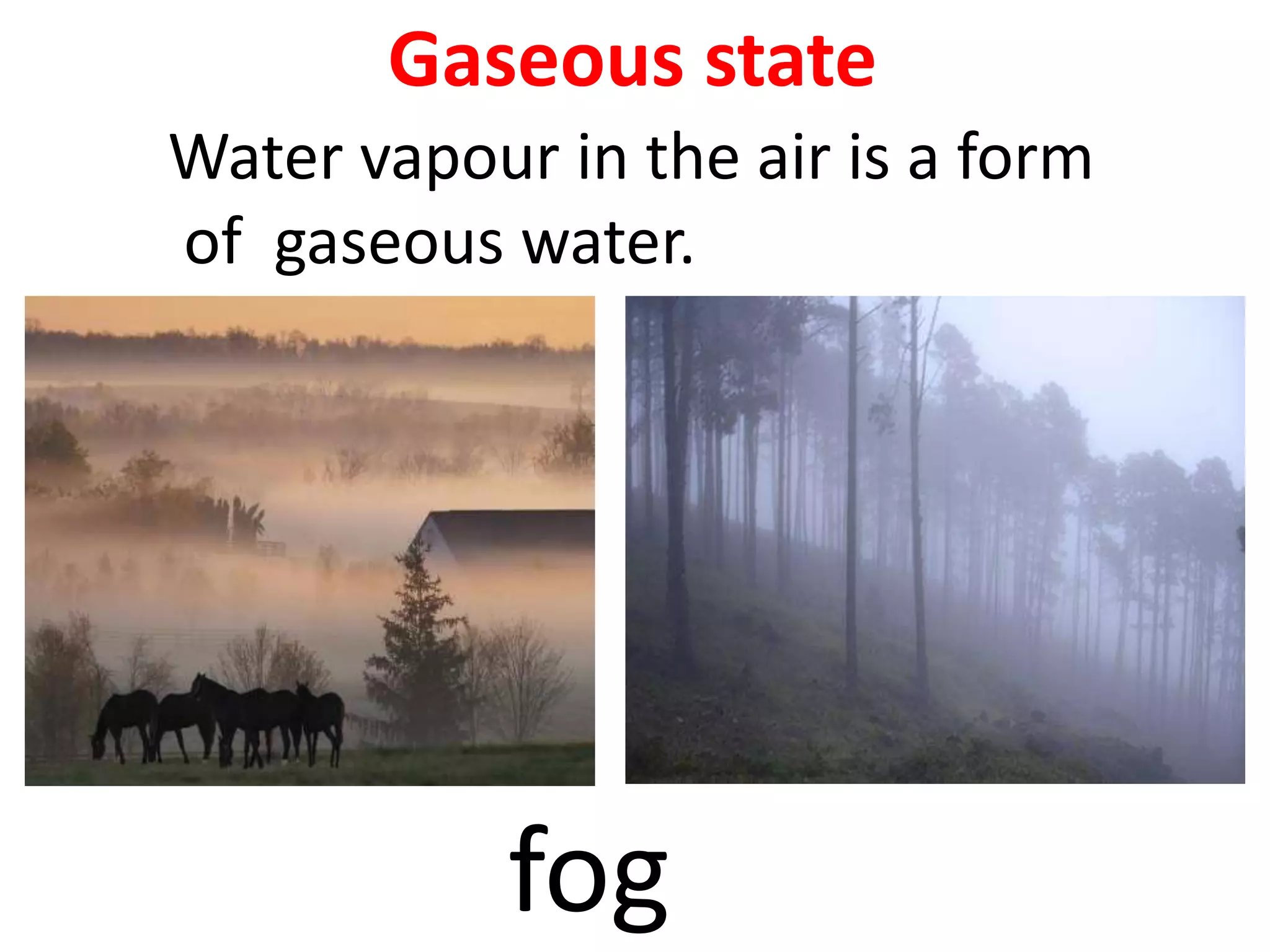 Gaseous state
Water vapour in the air is a form
of gaseous water.
fog
 