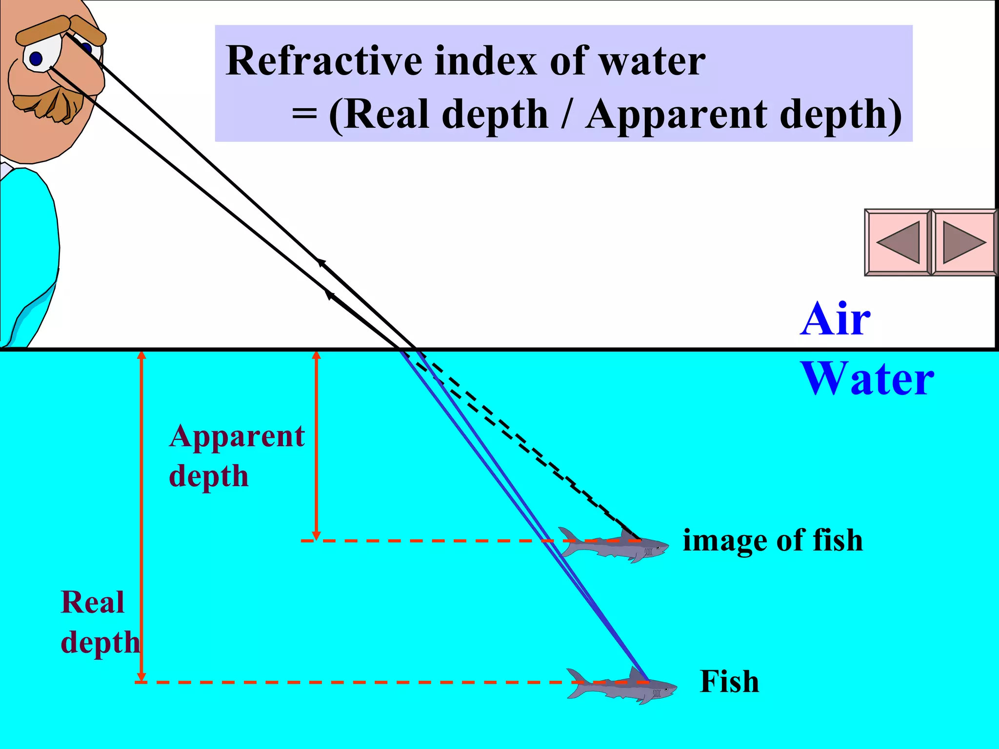 Apparent depth Real depth Fish image of fish Air Water Refractive index of water = (Real depth / Apparent depth) 