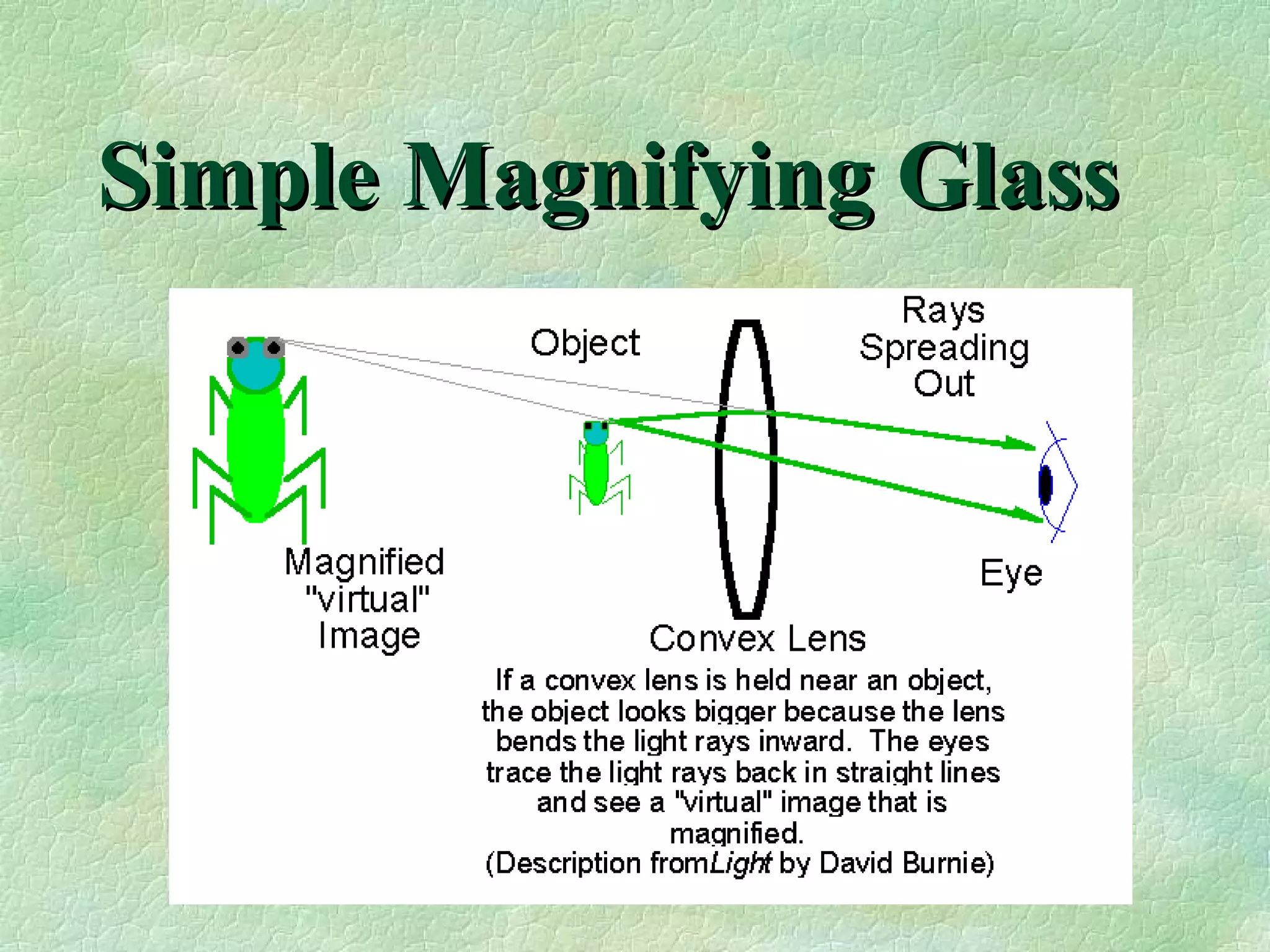 Simple Magnifying Glass 
