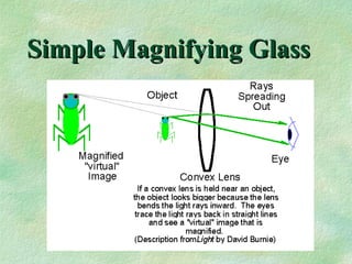 Simple Magnifying Glass 