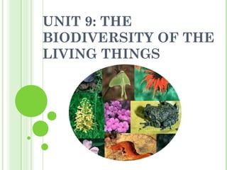 UNIT 9: THE
BIODIVERSITY OF THE
LIVING THINGS
 