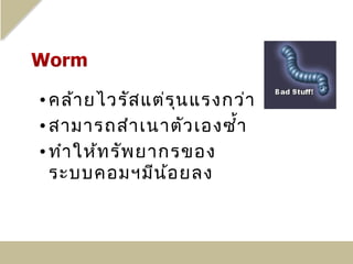 • คล้า ยไวรัส แต่ร น แรงกว่า
                   ุ
• สามารถสำา เนาตัว เองซำ้า
• ทำา ให้ท รัพ ยากรของ
  ระบบคอมฯมีน ้อ ยลง
 