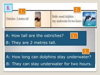 A: How tall are the ostriches?
B: They are 2 metres tall.
A: How long can dolphins stay underwater?
B: They can stay underwater for two hours.
1.
2.
1. 2.
 