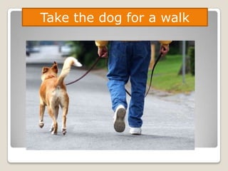 Take the dog for a walk
 