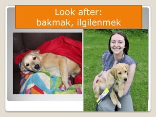 Look after:
bakmak, ilgilenmek
 