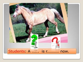 Students: A ……. is r………… now.
 