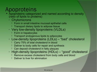 Unit 9 | PPT