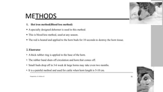 METHODS
1. Hot iron method(Blood less method)
 Aspecially designed dehorner is used in this method.
 This is blood less method, used at any season.
 The rod is heated and applied to the horn buds for 10 seconds to destroy the horn tissue.
2. Elastrator
• Athick rubber ring is applied to the base of the horn.
• The rubber band shuts off circulation and horn that comes off.
• Small buds drop off in 3-6 week & large horns may take even two months.
• It is a painful method and used for cattle when horn length is 5-10 cm.
11
Prepared by : Dr. Bishnu K.C
 