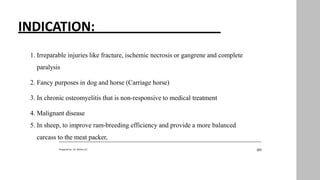 INDICATION:
20
Prepared by : Dr. Bishnu K.C
1. Irreparable injuries like fracture, ischemic necrosis or gangrene and complete
paralysis
2. Fancy purposes in dog and horse (Carriage horse)
3. In chronic osteomyelitis that is non-responsive to medical treatment
4. Malignant disease
5. In sheep, to improve ram-breeding efficiency and provide a more balanced
carcass to the meat packer,
 