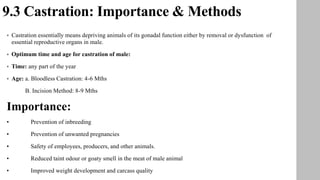 9.3 Castration: Importance & Methods
 Castration essentially means depriving animals of its gonadal function either by removal or dysfunction of
essential reproductive organs in male.
 Optimum time and age for castration of male:
 Time: any part of the year
 Age: a. Bloodless Castration: 4-6 Mths
B. Incision Method: 8-9 Mths
Importance:
• Prevention of inbreeding
• Prevention of unwanted pregnancies
• Safety of employees, producers, and other animals.
• Reduced taint odour or goaty smell in the meat of male animal
• Improved weight development and carcass quality
 