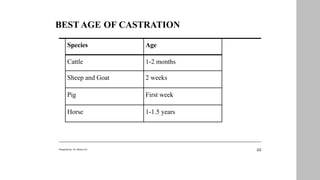BEST AGE OF CASTRATION
22
Prepared by : Dr. Bishnu K.C
Species Age
Cattle 1-2 months
Sheep and Goat 2 weeks
Pig First week
Horse 1-1.5 years
 