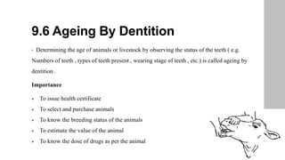 9.6 Ageing By Dentition
• Determining the age of animals or livestock by observing the status of the teeth ( e.g.
Numbers of teeth , types of teeth present , wearing stage of teeth , etc.) is called ageing by
dentition .
Importance
 To issue health certificate
 To select and purchase animals
 To know the breeding status of the animals
 To estimate the value of the animal
 To know the dose of drugs as per the animal
 