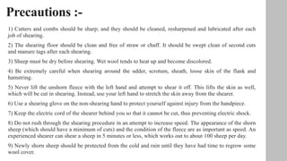 Precautions :-
1) Cutters and combs should be sharp; and they should be cleaned, resharpened and lubricated after each
job of shearing.
2) The shearing floor should be clean and free of straw or chaff. It should be swept clean of second cuts
and manure tags after each shearing.
3) Sheep must be dry before shearing. Wet wool tends to heat up and become discolored.
4) Be extremely careful when shearing around the udder, scrotum, sheath, loose skin of the flank and
hamstring.
5) Never lift the unshorn fleece with the left hand and attempt to shear it off. This lifts the skin as well,
which will be cut in shearing. Instead, use your left hand to stretch the skin away from the shearer.
6) Use a shearing glove on the non-shearing hand to protect yourself against injury from the handpiece.
7) Keep the electric cord of the shearer behind you so that it cannot be cut, thus preventing electric shock.
8) Do not rush through the shearing procedure in an attempt to increase speed. The appearance of the shorn
sheep (which should have a minimum of cuts) and the condition of the fleece are as important as speed. An
experienced shearer can shear a sheep in 5 minutes or less, which works out to about 100 sheep per day.
9) Newly shorn sheep should be protected from the cold and rain until they have had time to regrow some
wool cover.
 