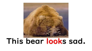 This bear looks sad.
 