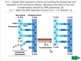 Unit 9 - DNA, RNA, and Proteins Notes | PDF