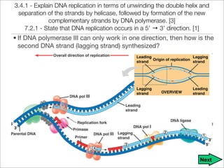 Unit 9 - DNA, RNA, and Proteins Notes | PDF