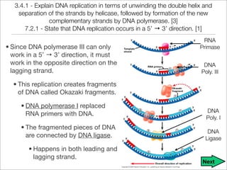 Unit 9 - DNA, RNA, and Proteins Notes | PDF