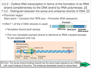 Unit 9 - DNA, RNA, and Proteins Notes | PDF