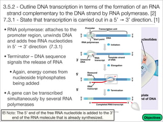 Unit 9 - DNA, RNA, and Proteins Notes | PDF
