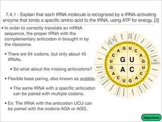 Trna Explained Unit 9 - DNA, RNA, and Proteins Notes | PDF