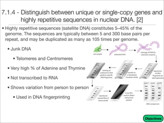 Unique Dna Sequences Example Unit 9 - DNA, RNA, and Proteins Notes | PDF