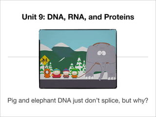 Unit 9: DNA, RNA, and Proteins




Pig and elephant DNA just don’t splice, but why?
 