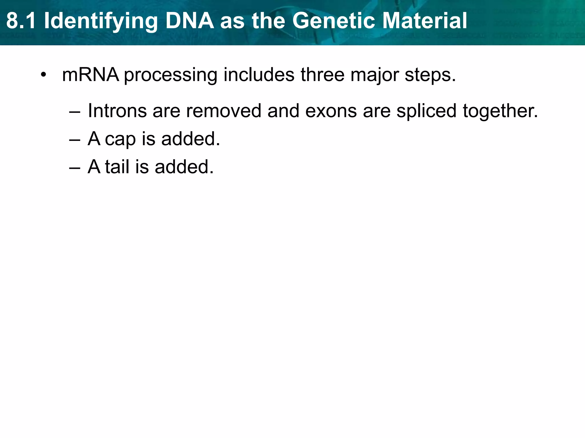 The lac operon is “off” when lactose is not present.
