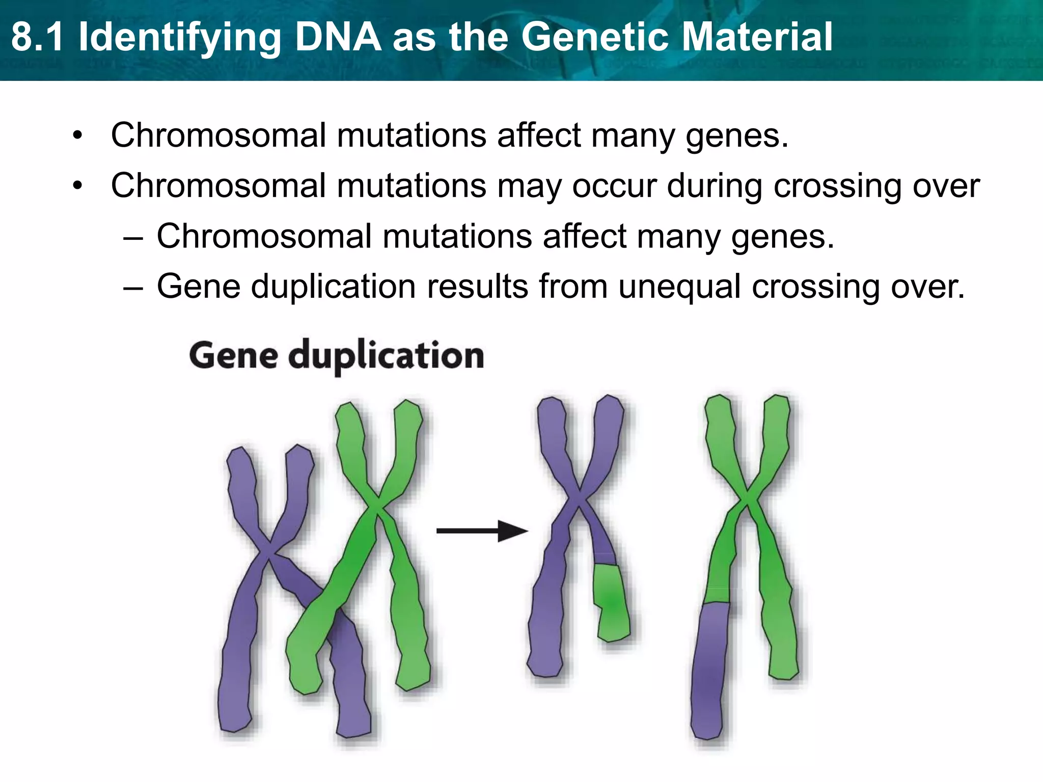Enhancers and silencers speed up or slow down the rate of transcription.