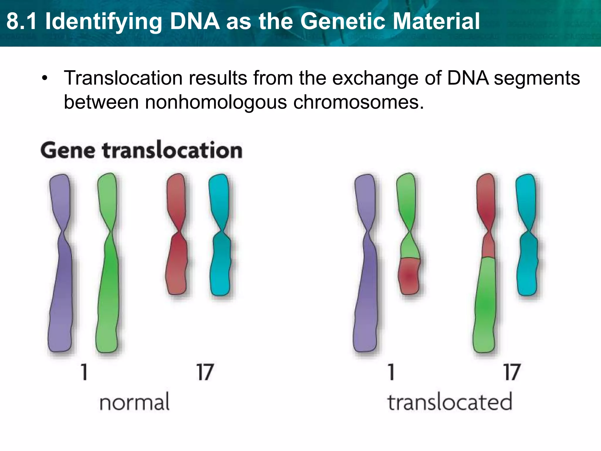 Each gene has a unique combination of regulatory sequences.RNA processing is also an important part of gene regulation in eukaryotes.
