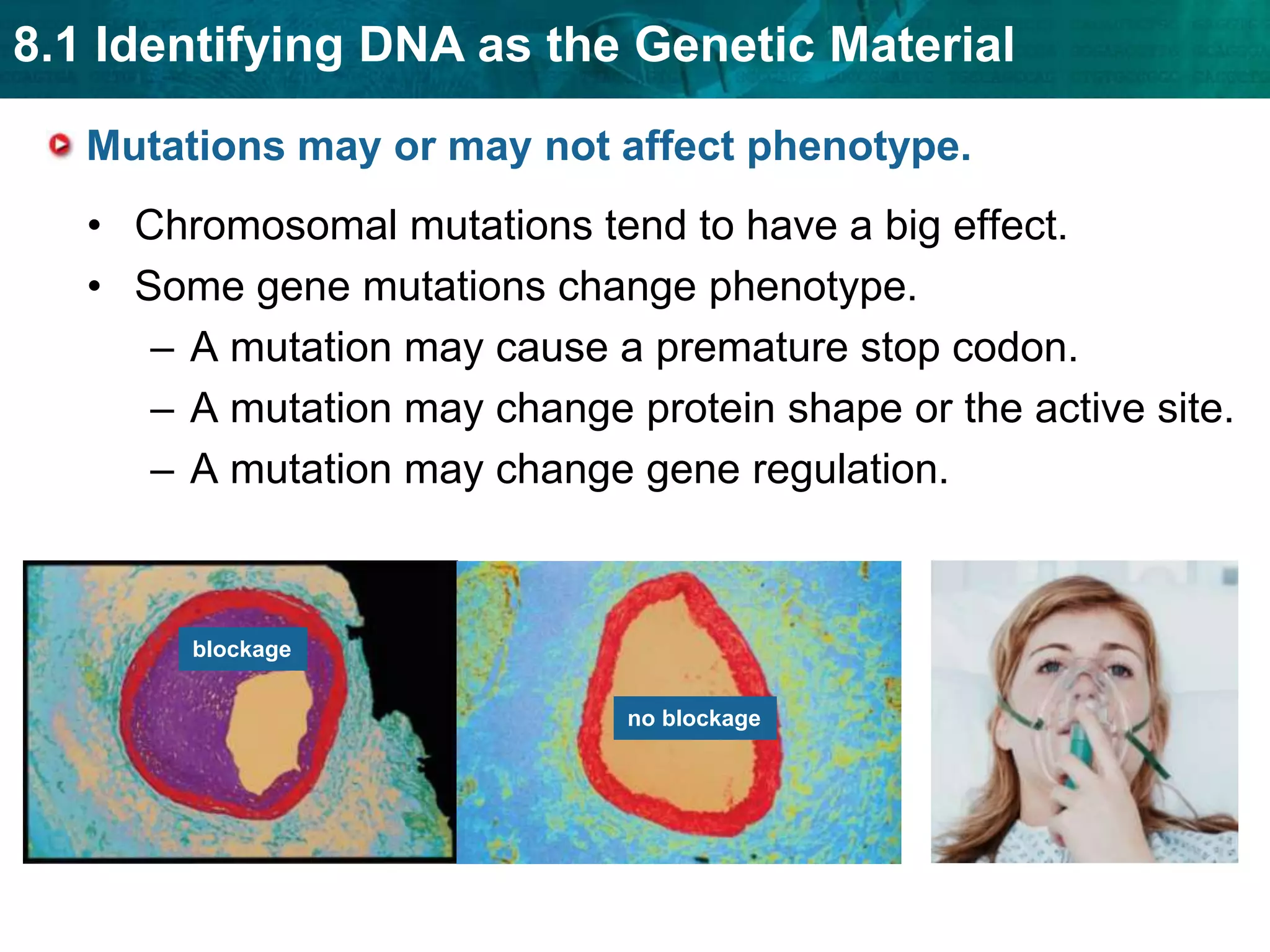 mRNA processing includes three major steps.mRNA processing includes three major steps.