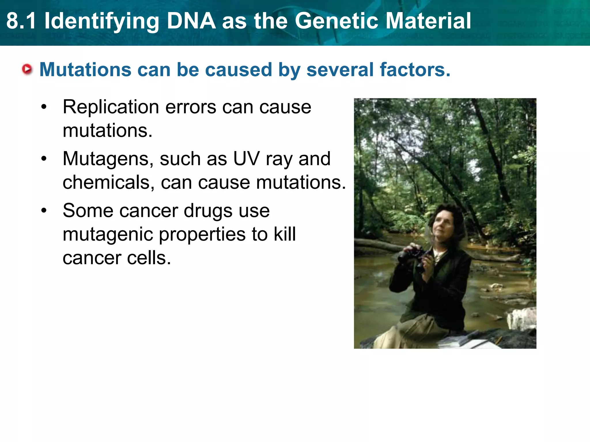A tail is added.KEY CONCEPT Mutations are changes in DNA that may or may not affect phenotype. 