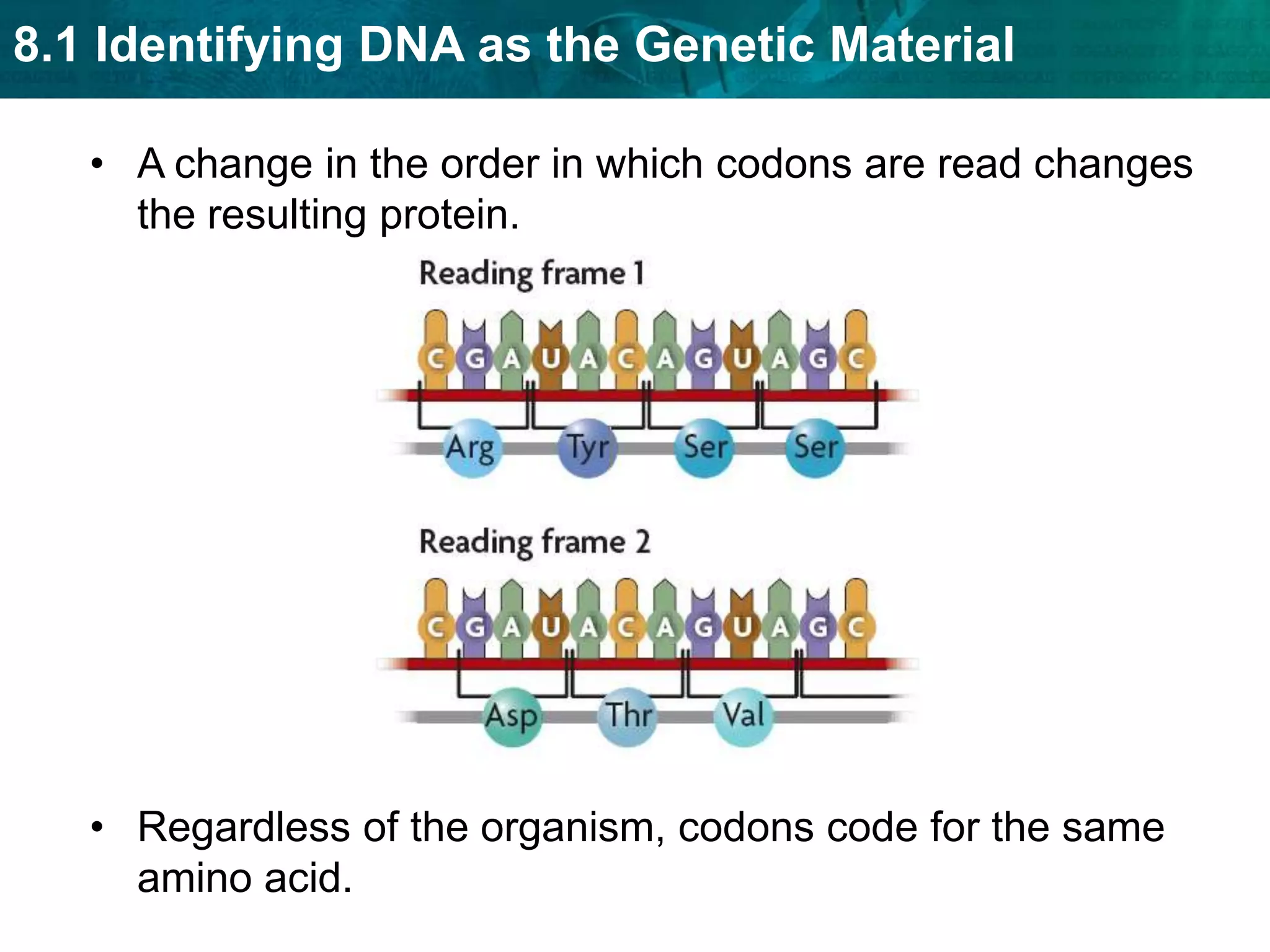 three stop codons