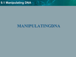 9.1 Manipulating DNA
MANIPULATINGDNA
 