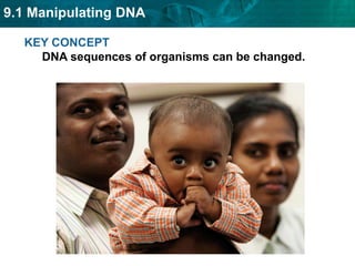 A DNA fingerprint is a type of restriction map.DNA fingerprints are based on parts of an individual’s DNA that can by used for identification.based on noncoding regions of DNAnoncoding regions have repeating DNA sequencesnumber of repeats differs between peoplebanding pattern on a gel is a DNA fingerprint