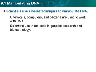 Scientists use several techniques to manipulate DNA. Chemicals, computers, and bacteria are used to work with DNA.Scientists use these tools in genetics research and biotechnology.