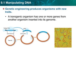 studying biodiversity