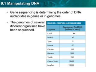 some simple animals (budding, regeneration)Mammals can be cloned through a process called nuclear transfer.