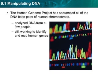 nucleus is removed from an egg cell